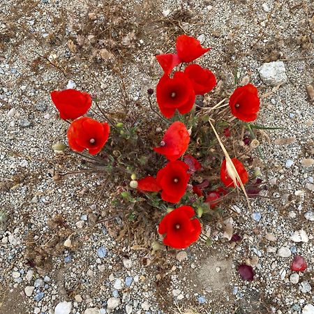 Baetylus Daire Kastrákion Dış mekan fotoğraf